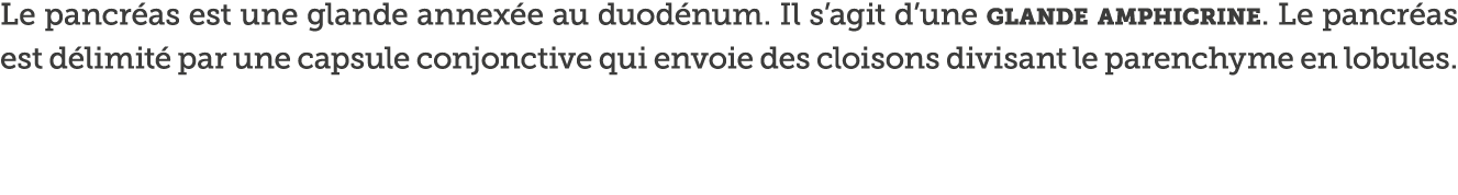 Le pancr as est une glande annex e au duod num  Il s agit d une glande amphicrine  Le pancr as est d limit  par une c   