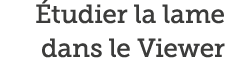  tudier la lame dans le Viewer
