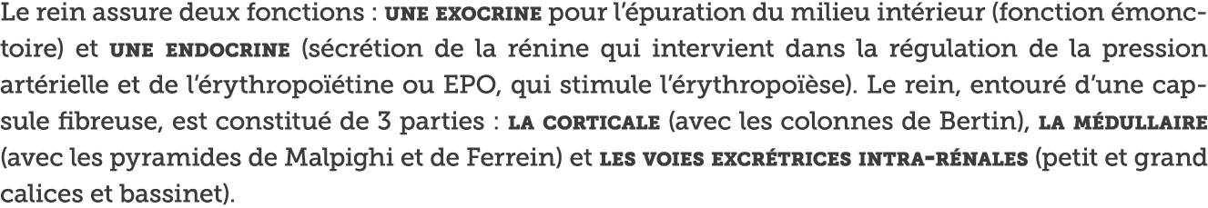 Le rein assure deux fonctions : une exocrine pour l  puration du milieu int rieur (fonction  monctoire) et une endocr   