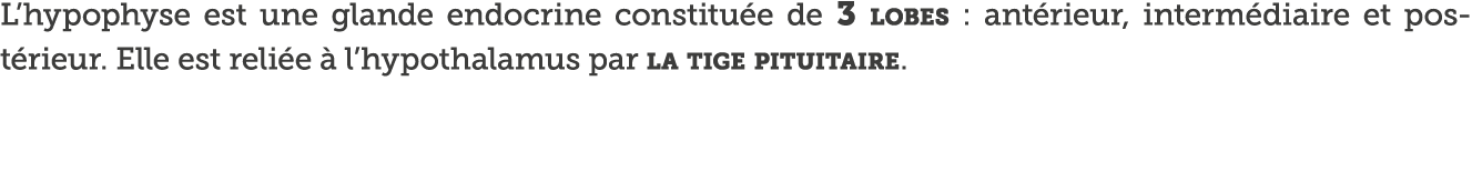 L hypophyse est une glande endocrine constitu e de 3 lobes : ant rieur, interm diaire et pos- t rieur  Elle est reli    