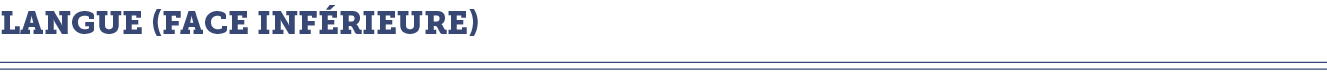 Langue (face inf rieure)