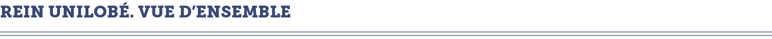 rein unilob   vue d ensemble