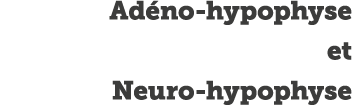 Ad no-hypophyse et Neuro-hypophyse