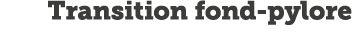 Transition fond-pylore