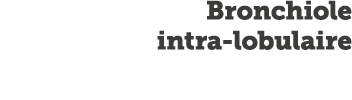 Bronchiole intra-lobulaire