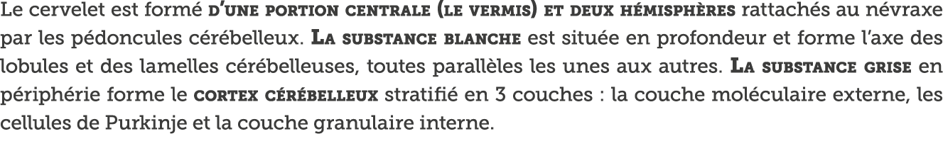 Le cervelet est form  d une portion centrale (le vermis) et deux h misph res rattach s au n vraxe par les p doncules    