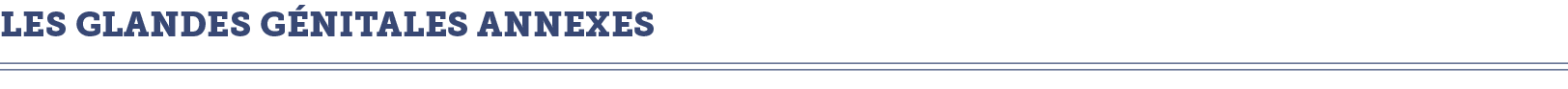 Les glandes g nitales annexes 