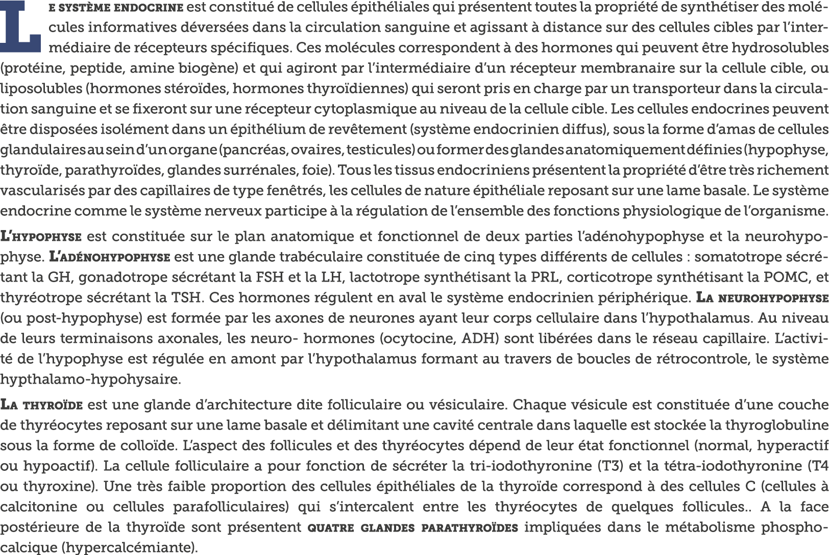 Le syst me endocrine est constitu  de cellules  pith liales qui pr sentent toutes la propri t  de synth tiser des mol   