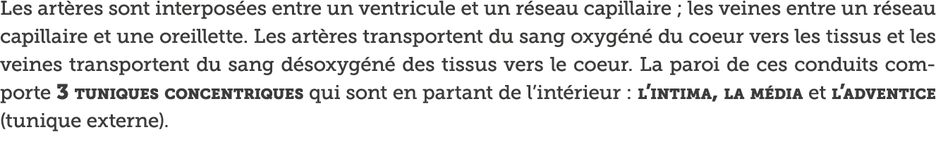 Les art res sont interpos es entre un ventricule et un r seau capillaire ; les veines entre un r seau capillaire et u   