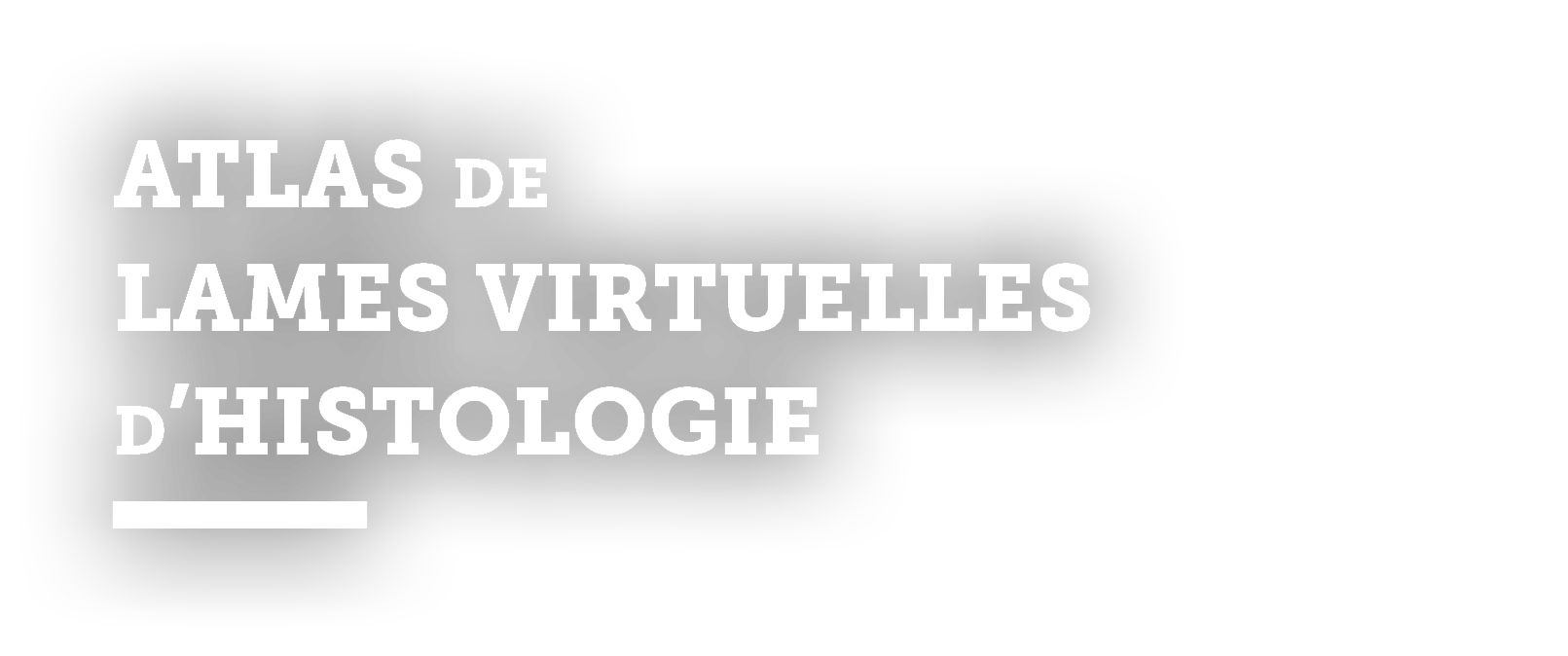 ATLAS DE LAMES VIRTUELLES D HISTOLOGIE