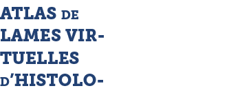 ATLAS DE LAMES VIRTUELLES D HISTOLO