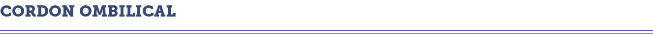 cordon ombilical