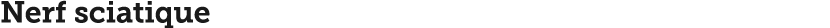 Nerf sciatique